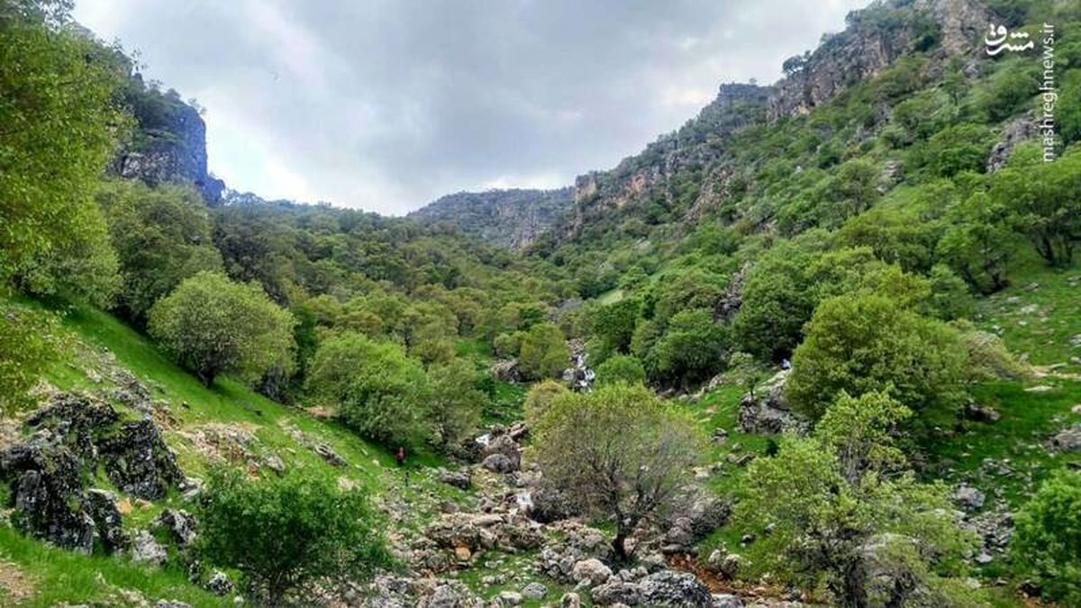 اینجا آلاسکا نیست، ایران است+عکس