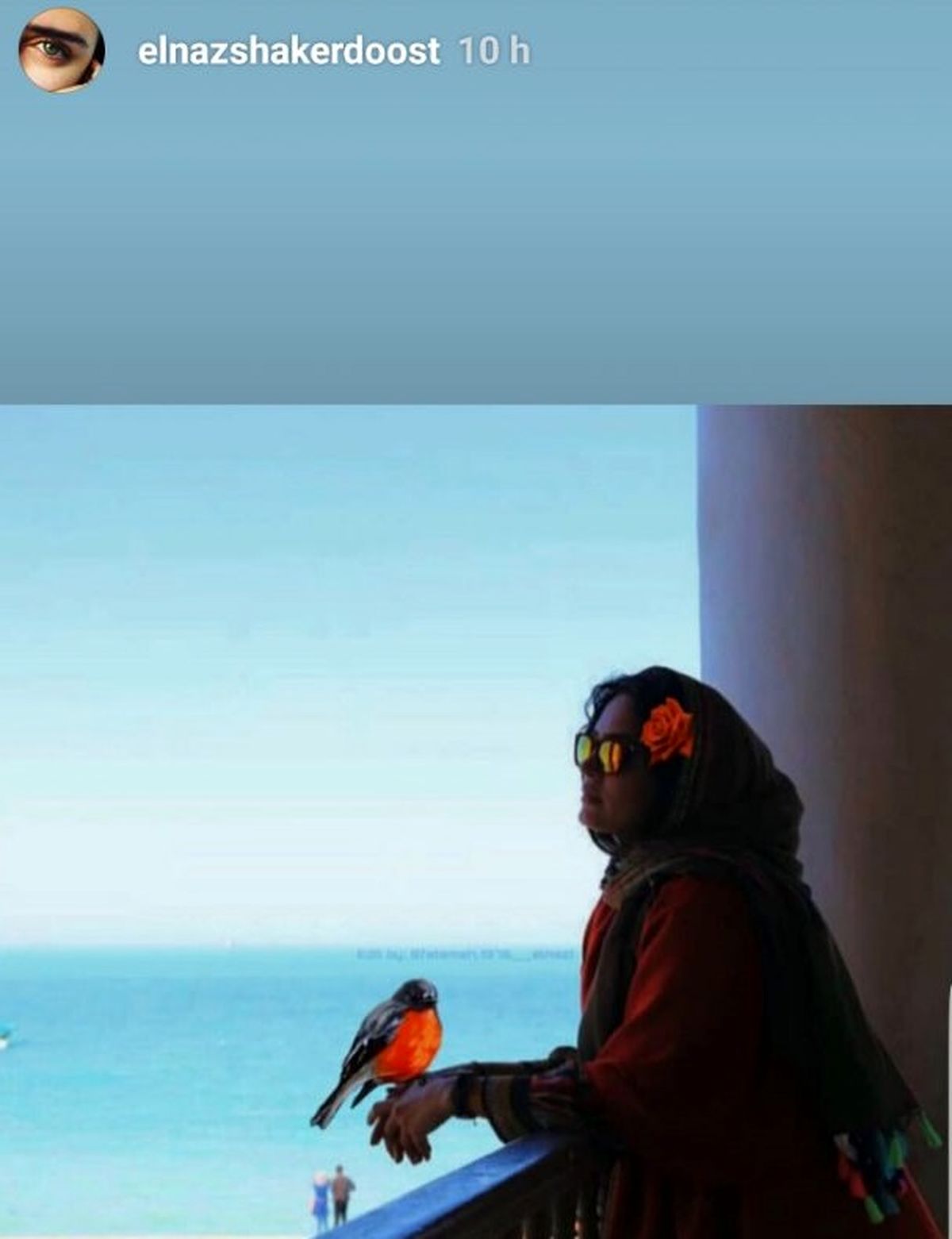 عکس الناز شاکردوست لب دریا
