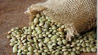 فواید بی نظیر مصرف عدس