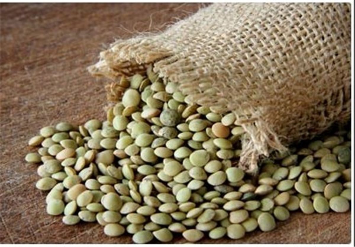 فواید بی نظیر مصرف عدس