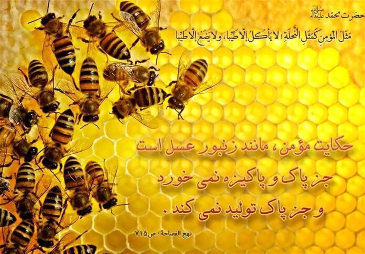 جستاری در ویژگی یاران امام زمان(عج) در بیان امیرالمؤمنین(ع)