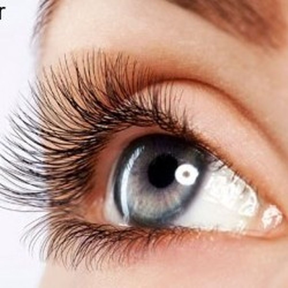در 2هفته مژه هایتان را پرپشت کنید