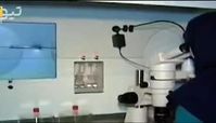 خدمات درمان نازایی و ناباروری بیمه شد