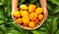 میوه چاق کننده که برای دیابتی ها سم است