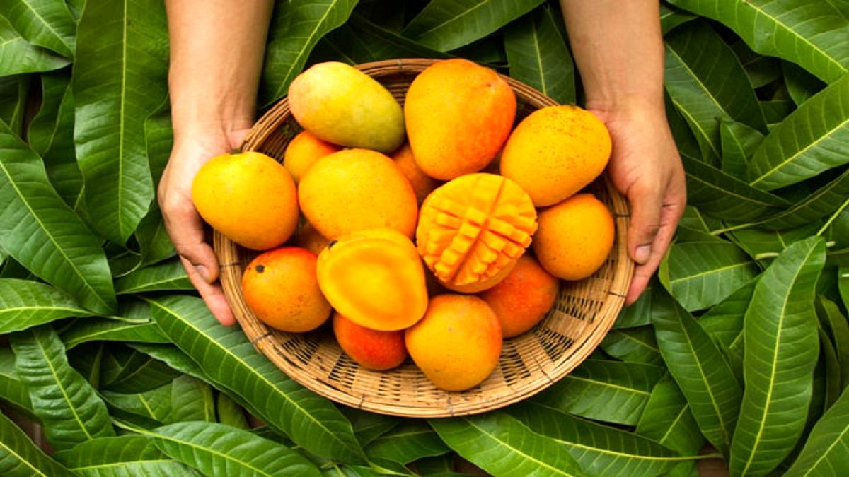میوه چاق کننده که برای دیابتی ها سم است
