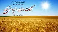 20 میلیارد تومان زکات جمع‌آوری شد