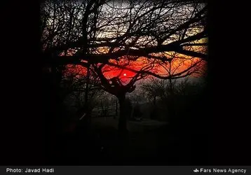 13931027164022500_PhotoL