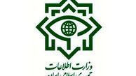 دستگیری ۱۸ عضو شبکه هرمی خروج ارز از کشور