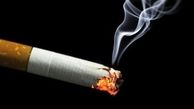 پاکت‌ های سیگار ایرانی تغییر می‌کنند / پیگیری حذف عکس میوه از پاکت های تنباکو