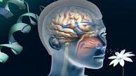 از دست دادن بلندمدت حس بویایی و چشایی در برخی مبتلایان کرونا