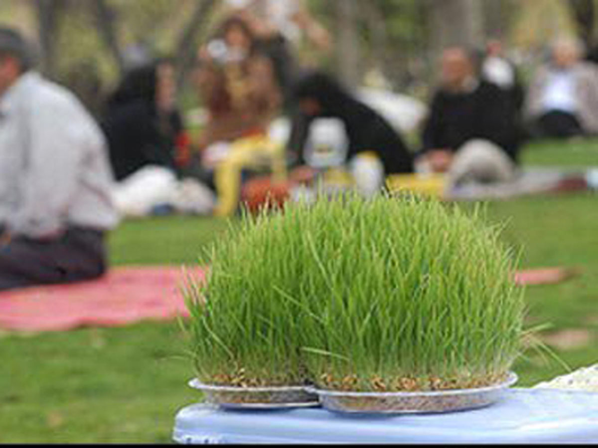 گره‌ زدن سبزه در "سیزده بدر"؛ افسانه یا واقعیت؟!
