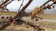 مدیریت بحران خراسان شمالی نسبت به کاهش دما هشدار داد