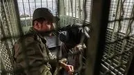 قتل و آدم ربایی به خاطر معامله ملکی