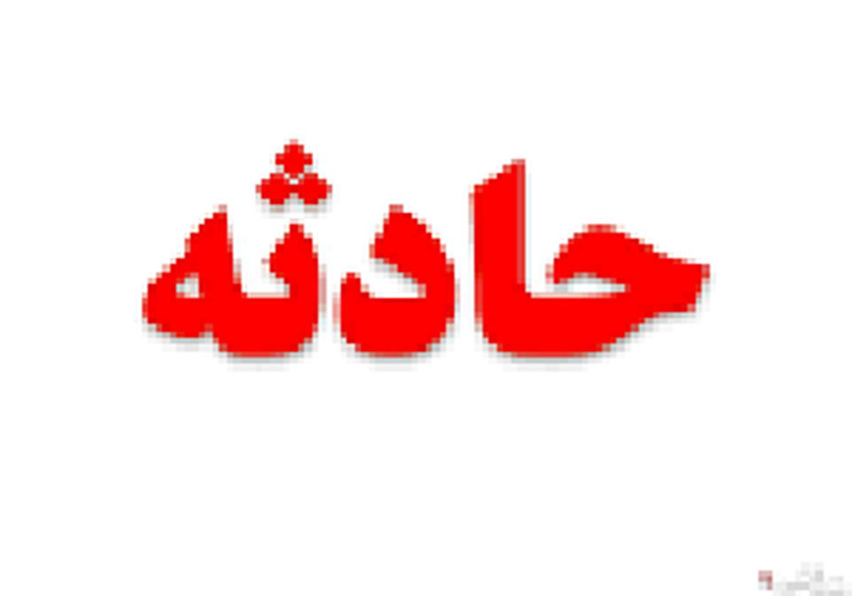 حملات خونین گرگ‌های هیبریدی به ۱۳ زنجانی + جزییات