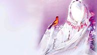 کلید همه خوبی‎ها در منطق علوی