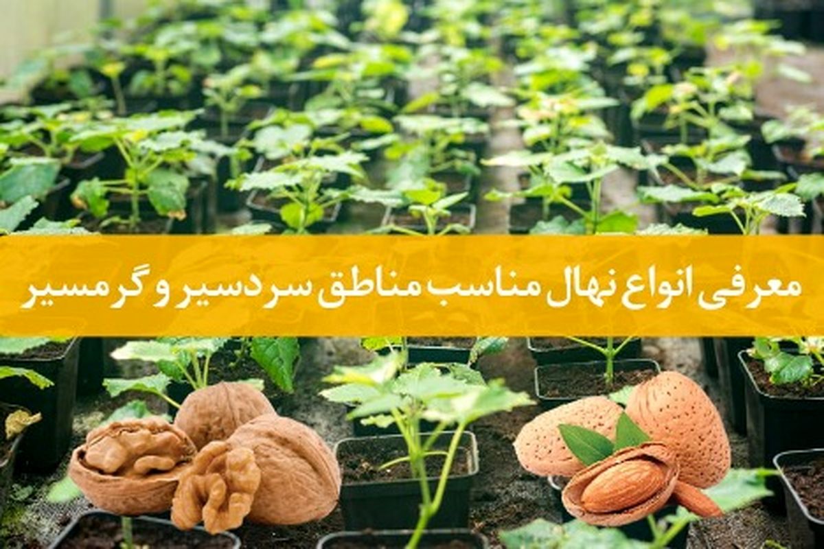 خرید نهال چه نژادی در مناطق گرمسیر و سردسیر مناسب می باشد
