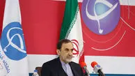 ولایتی: ایران و فرانسه با تروریسم مخالف هستند