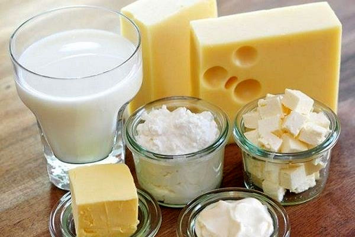 با افزایش خودسرانه قیمت لبنیات برخورد می‌کنیم