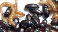 روش عجیب زن برای رهایی از سرطان