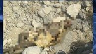 یافتن جسد یک حاجی پس از چند ماه در عربستان 