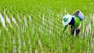 افزایش قیمت آب کشاورزی در مازندران 