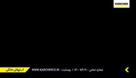 به آتش کشیدن درخت چند صد ساله جنگلی 