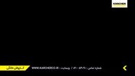به آتش کشیدن درخت چند صد ساله جنگلی 