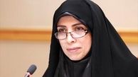 امین‌زاده: امنیت زوار ایرانی مهمترین موضوع برای ماست 