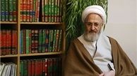 آیت‌الله سبحانی:
سند ۲۰۳۰ باید ابطال شود