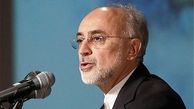  صالحی: مرحوم حکمت جای شهید بابایی را پر کرد 