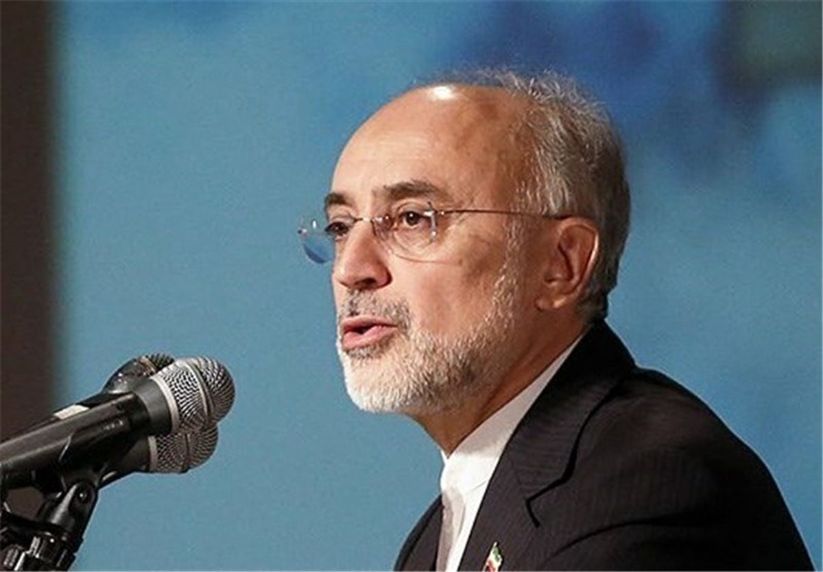  صالحی: مرحوم حکمت جای شهید بابایی را پر کرد 