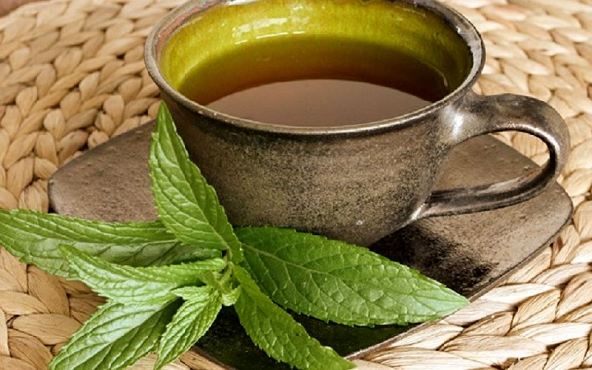 با این گیاه ریه هایتان را ضدعفونی کنید