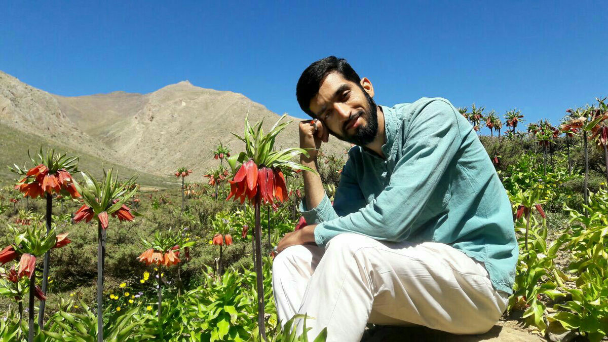 تا اطلاع ثانوی از ساخت سریال شهید حججی خبری نیست