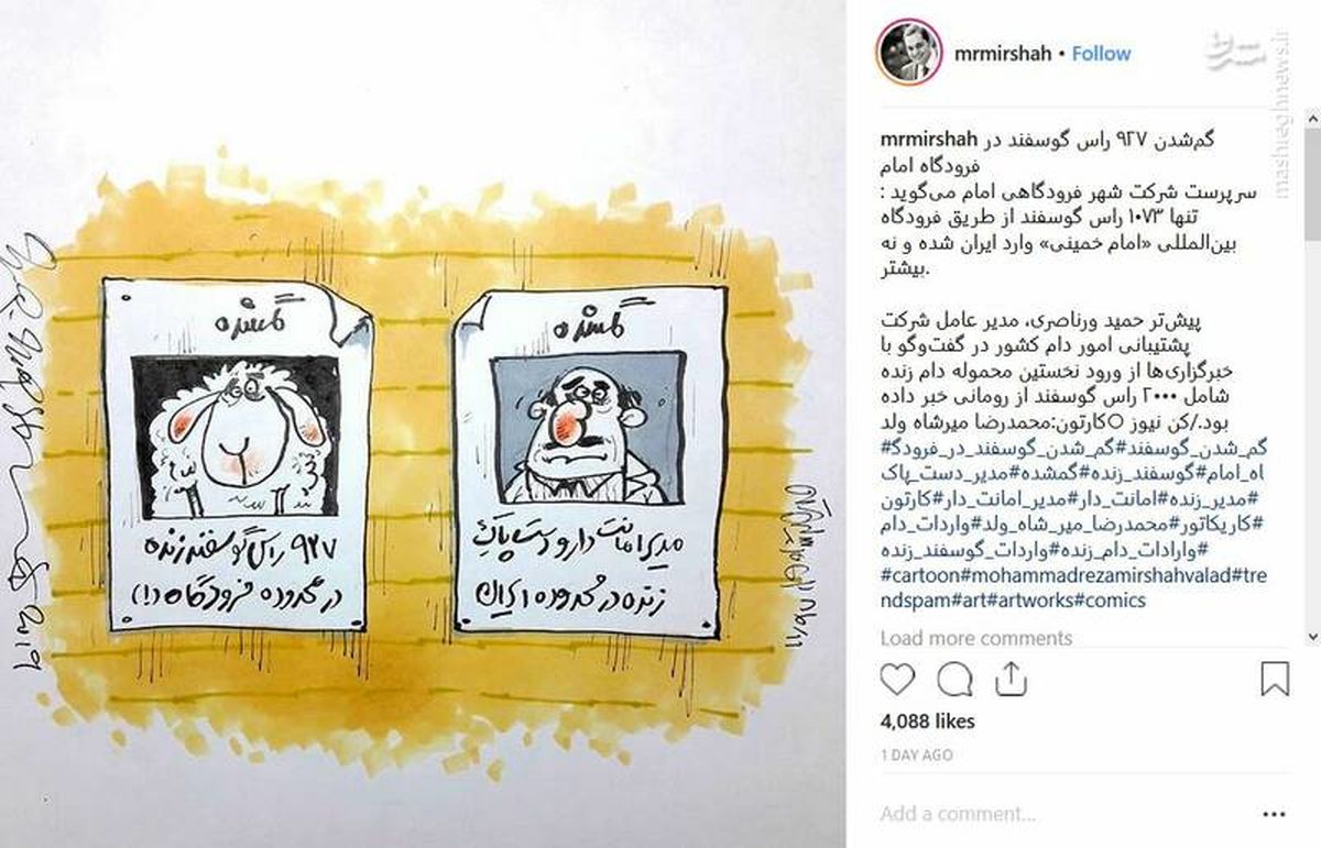 اینستاگرام :گم شدن حدود 1000 گوسفند زنده در فرودگاه! +کاریکاتور