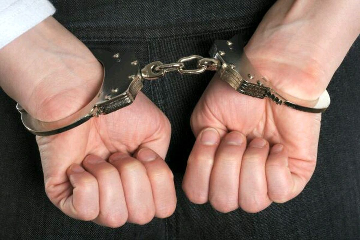 یکی از متهمان محیط زیستی از اتهام جاسوسی تبرئه شد
