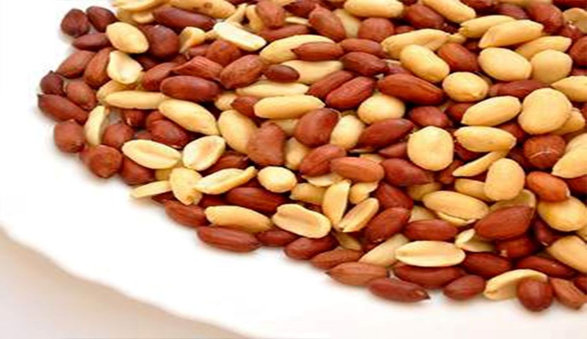 تاثیر بادام زمینی در جلوگیری ازبروز برخی بیماری ها