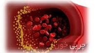 5چربی که نباید از رژیمتان حذف شوند! 
