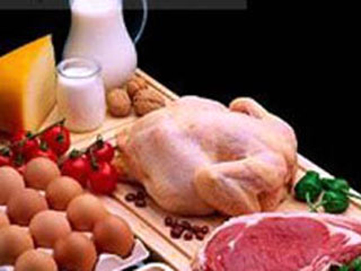 قیمت مرغ همچنان به سقف چسبیده