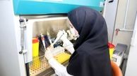 هشدار درباره شیوع یک بیماری در ایران/ H۳N۲ آمد