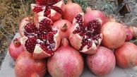 خوردن انار پس از "حجامت" خون را تصفیه می‌کند