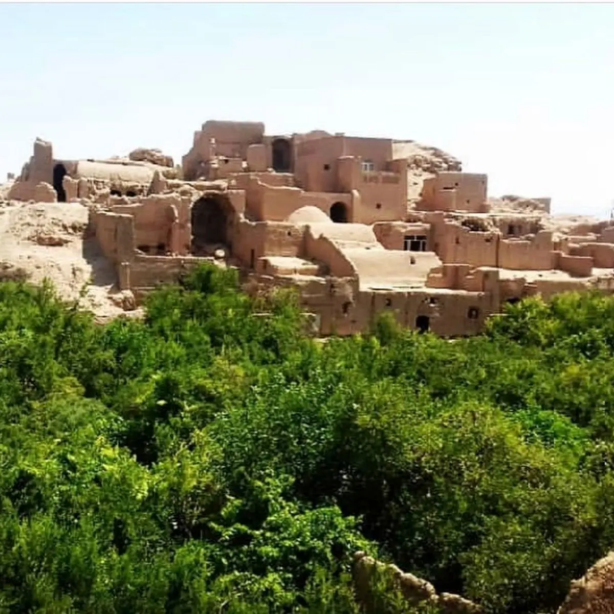 پست تند نرگس آبیار برای میراث فرهنگی