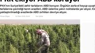 آمریکا از مزارع کشت مواد مخدر پ.ک.ک حفاظت می کند