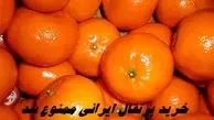 خرید پرتقال ایرانی ممنوع شد + علت