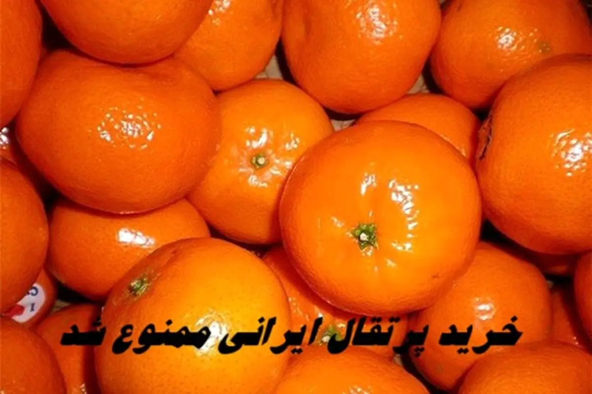 خرید پرتقال ایرانی ممنوع شد + علت