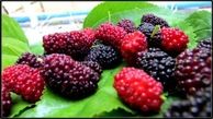 خواص باورنکردنی توت ها 