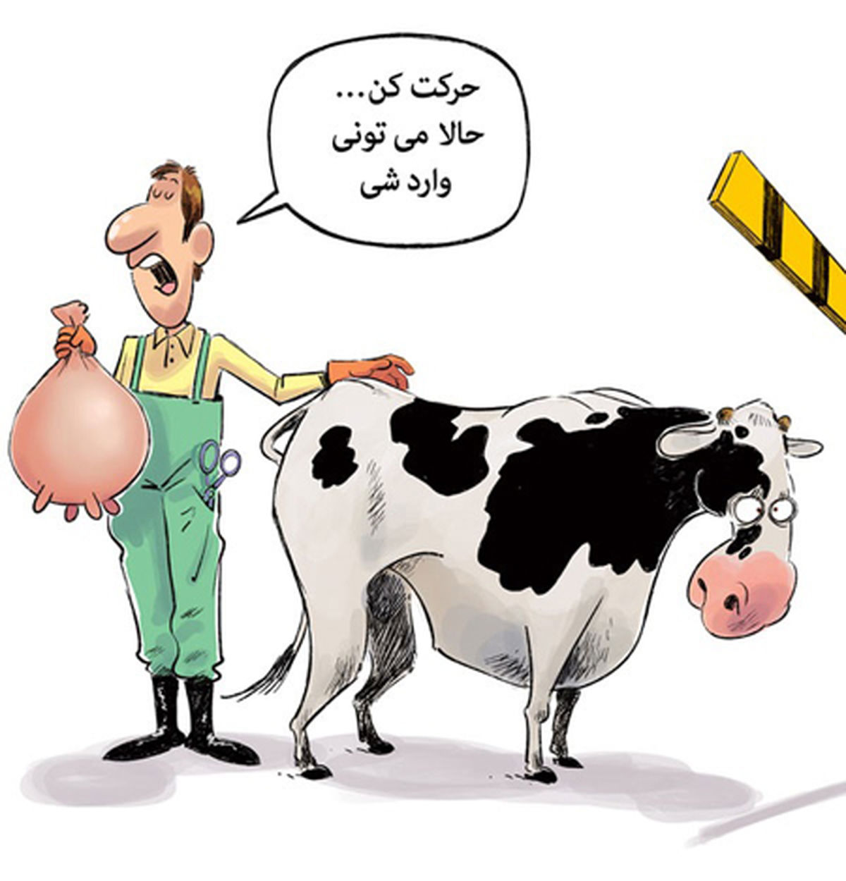  اینم مدل جدید واردات گاو!
