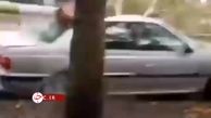 سقوط وحشتناک درخت روی خودرو
