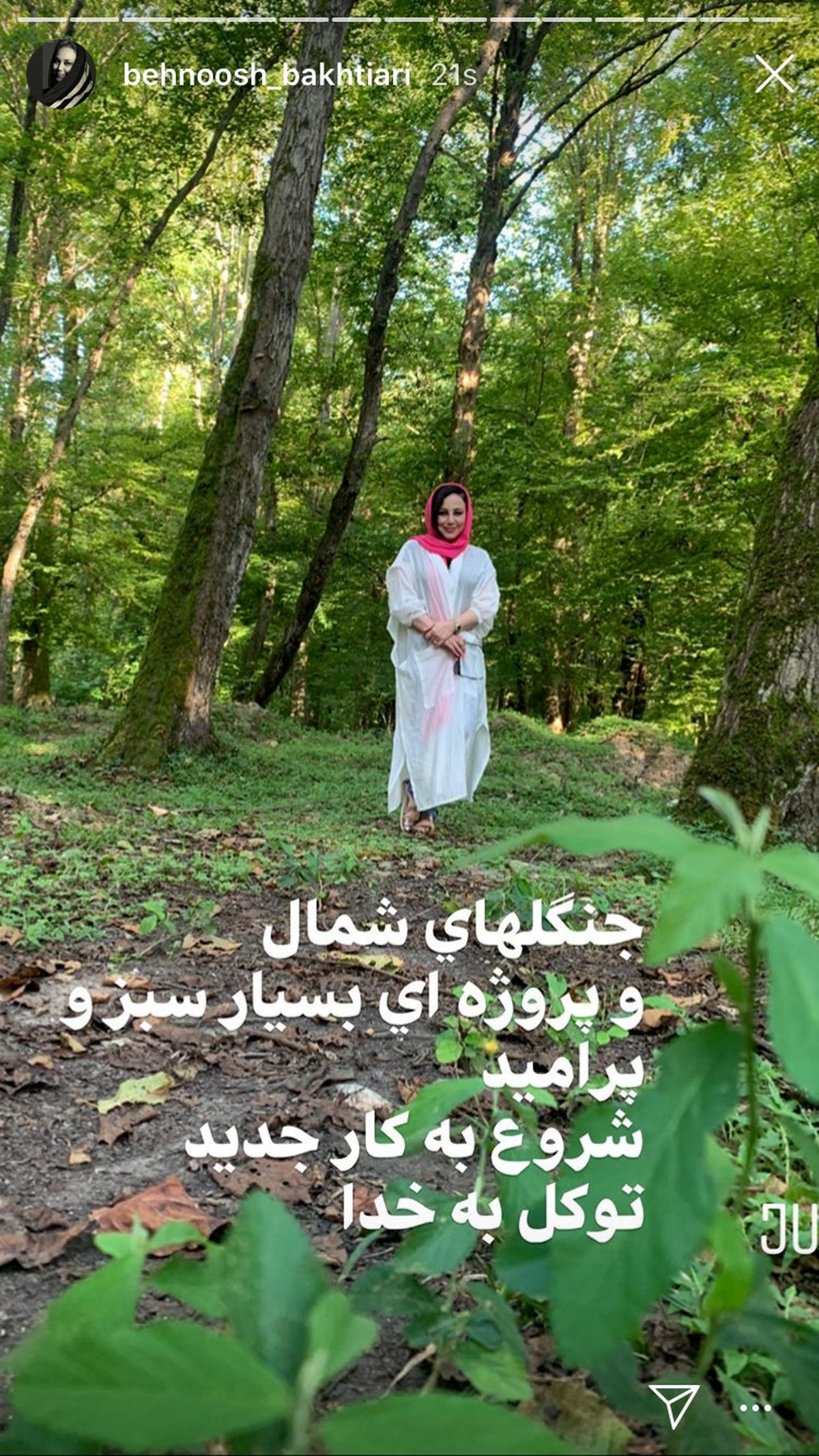 پروژه جنگلی بهنوش بختیاری + عکس
