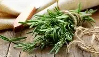 خواص رزماری چیست ؟ خاصیت های شگفت انگیز رزماری برای پوست و بدن