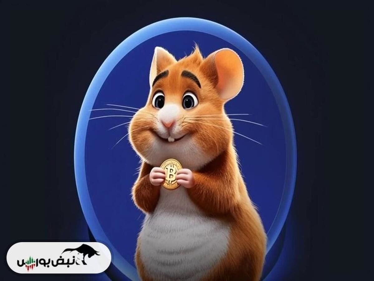نحوه وارد کردن کد مورس ۶ شهریور بازی همستر | چطور پاداش یک میلیونی بگیریم ؟